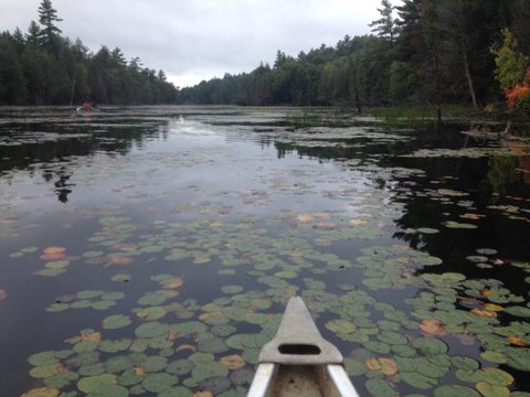 Photo from Canoeing and Hiking Killarney Provincial (Johnnie Lake/Silver Peak)