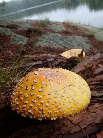 Photo from Canoeing and Hiking Killarney Provincial (Johnnie Lake/Silver Peak)