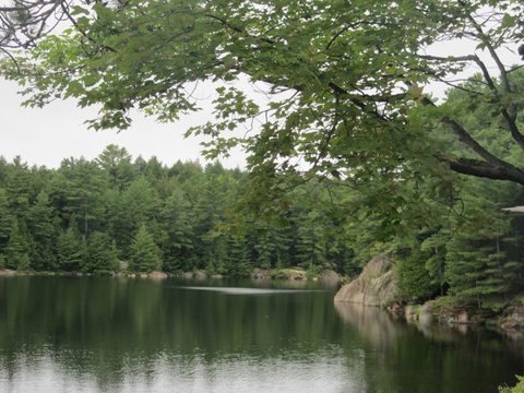 Photo from Canoeing and Hiking Killarney Provincial (Johnnie Lake/Silver Peak)