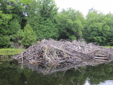 Photo from Canoeing and Hiking Killarney Provincial (Johnnie Lake/Silver Peak)