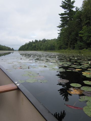 Photo from Canoeing and Hiking Killarney Provincial (Johnnie Lake/Silver Peak)