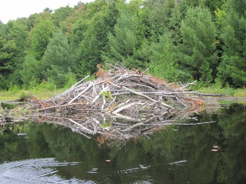 Photo from Canoeing and Hiking Killarney Provincial (Johnnie Lake/Silver Peak)