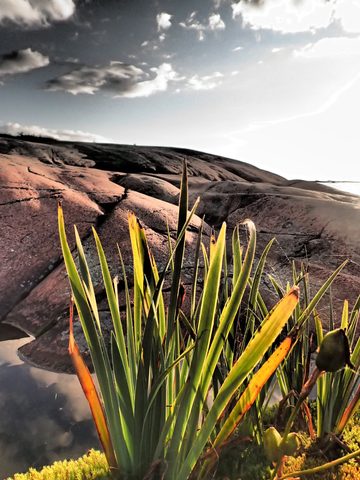 Photo from Kayaking, French River Voyageur Channel to Georgian Bay 2.0