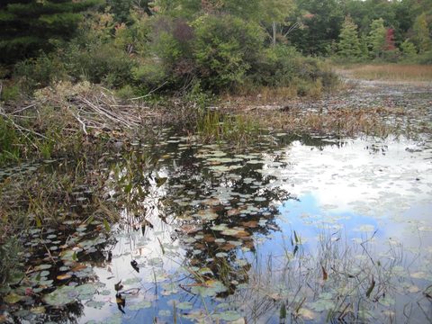 Photo from 2 night canoe trip to Kawartha Highlands