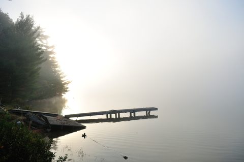 Photo from Thanksgiving trip to Killarney