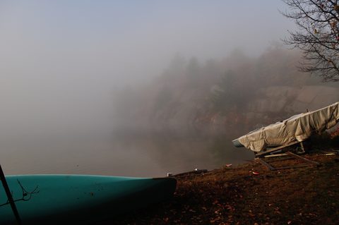 Photo from Thanksgiving trip to Killarney