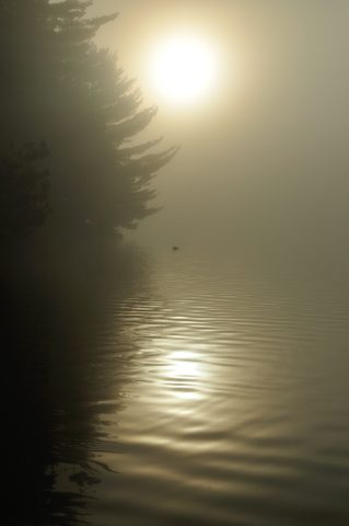Photo from Thanksgiving trip to Killarney