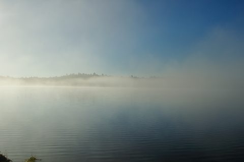 Photo from Thanksgiving trip to Killarney