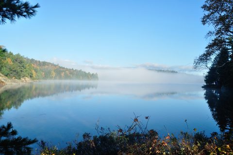 Photo from Thanksgiving trip to Killarney