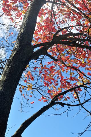 Photo from Thanksgiving trip to Killarney