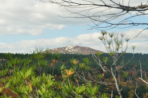 Photo from Thanksgiving trip to Killarney