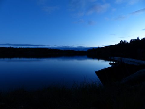 Photo from Thanksgiving trip to Killarney