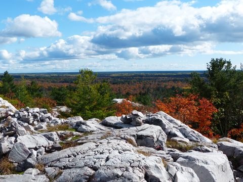 Photo from Thanksgiving trip to Killarney