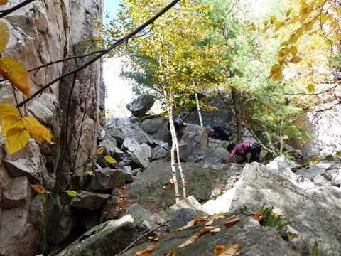 Photo from Thanksgiving trip to Killarney