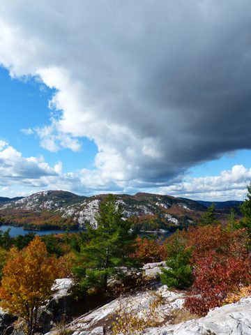 Photo from Thanksgiving trip to Killarney