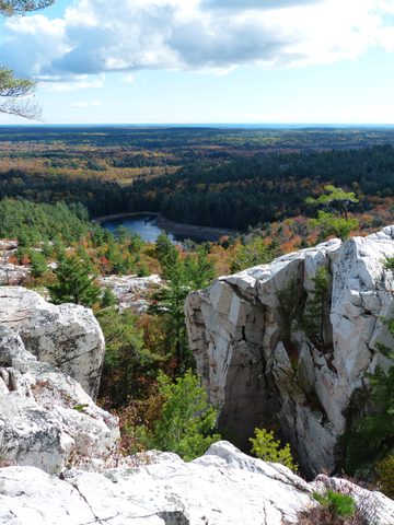 Photo from Thanksgiving trip to Killarney