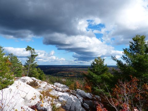 Photo from Thanksgiving trip to Killarney