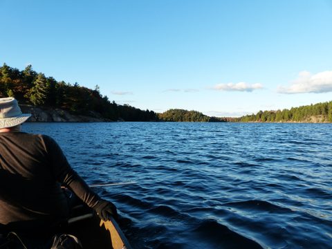 Photo from Thanksgiving trip to Killarney