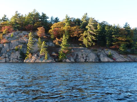 Photo from Thanksgiving trip to Killarney