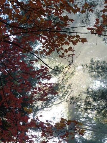 Photo from Thanksgiving trip to Killarney