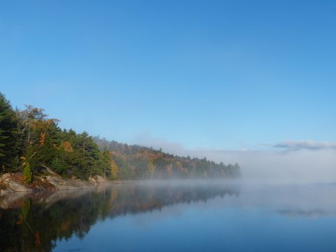 Photo from Thanksgiving trip to Killarney