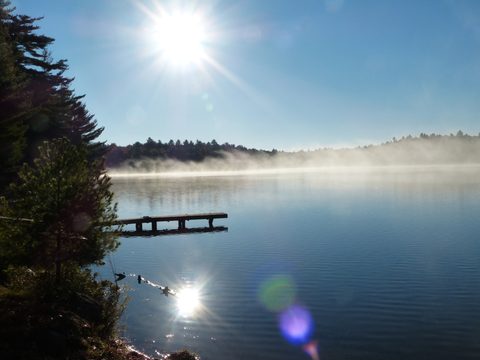 Photo from Thanksgiving trip to Killarney