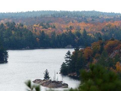 Photo from Thanksgiving trip to Killarney