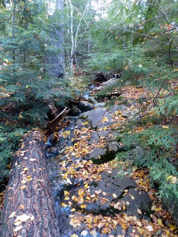 Photo from Thanksgiving trip to Killarney