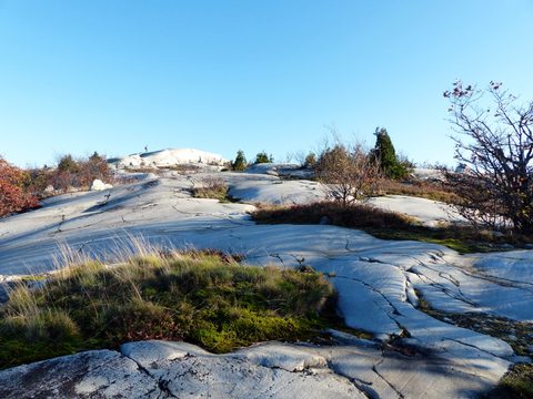 Photo from Thanksgiving trip to Killarney
