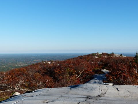 Photo from Thanksgiving trip to Killarney