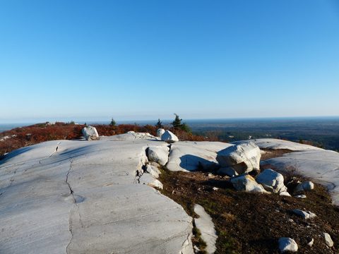 Photo from Thanksgiving trip to Killarney