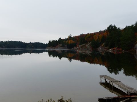 Photo from Thanksgiving trip to Killarney