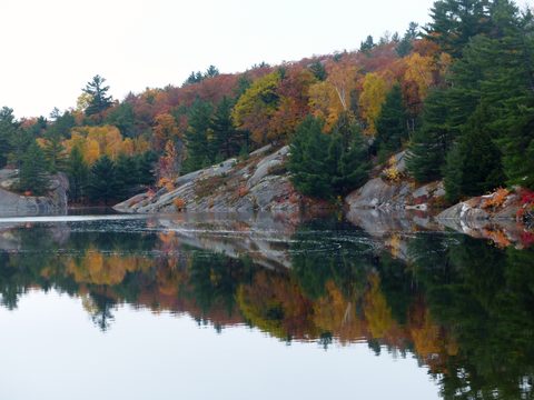 Photo from Thanksgiving trip to Killarney