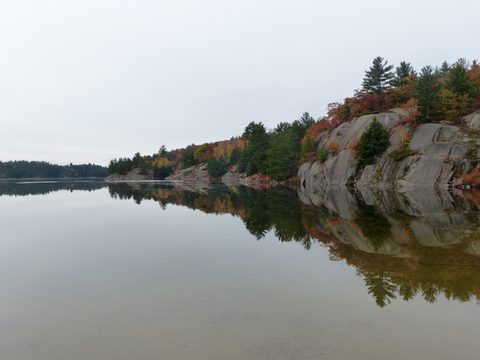 Photo from Thanksgiving trip to Killarney