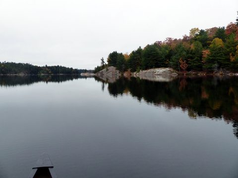 Photo from Thanksgiving trip to Killarney