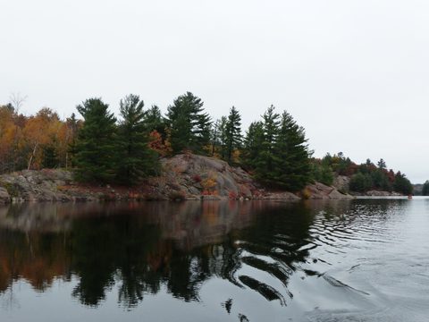 Photo from Thanksgiving trip to Killarney