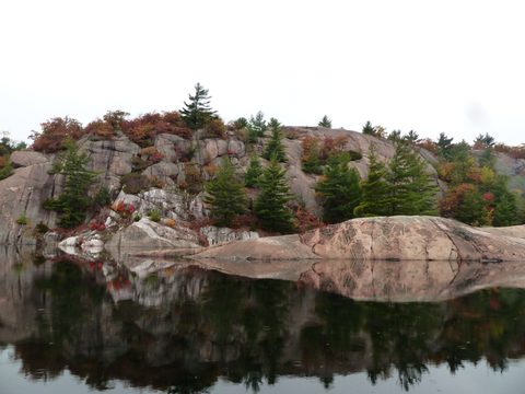 Photo from Thanksgiving trip to Killarney