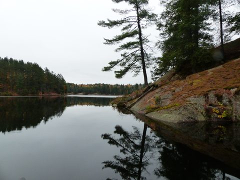 Photo from Thanksgiving trip to Killarney