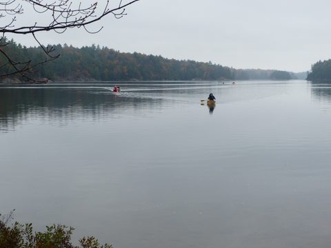 Photo from Thanksgiving trip to Killarney