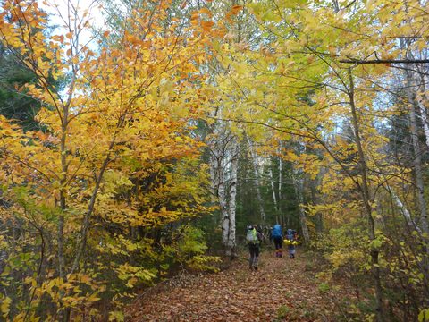 Photo from Thanksgiving Backpacking in Algonquin