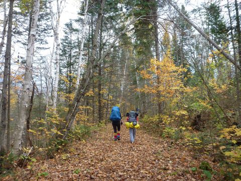 Photo from Thanksgiving Backpacking in Algonquin
