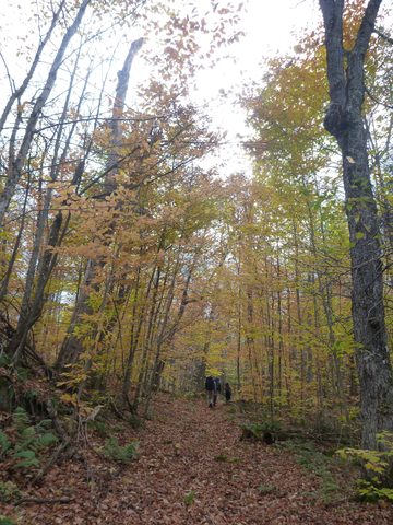 Photo from Thanksgiving Backpacking in Algonquin