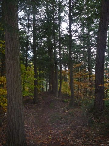 Photo from Thanksgiving Backpacking in Algonquin