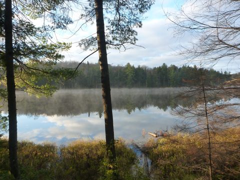Photo from Thanksgiving Backpacking in Algonquin