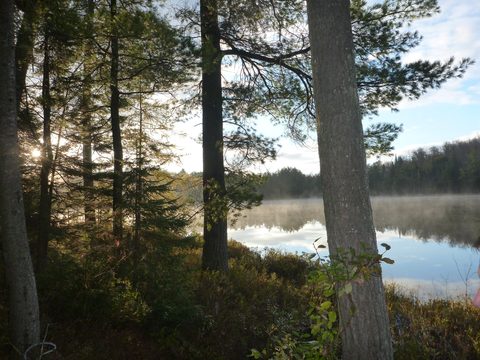 Photo from Thanksgiving Backpacking in Algonquin