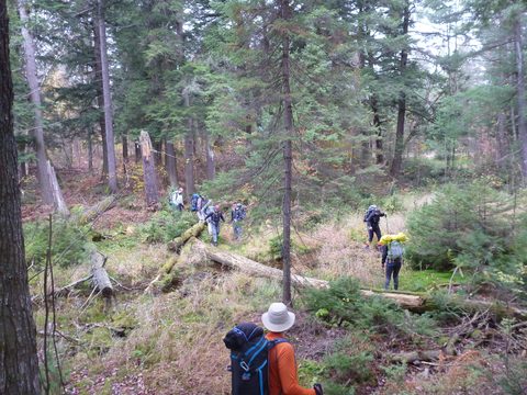 Photo from Thanksgiving Backpacking in Algonquin