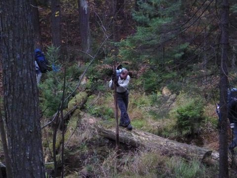 Photo from Thanksgiving Backpacking in Algonquin