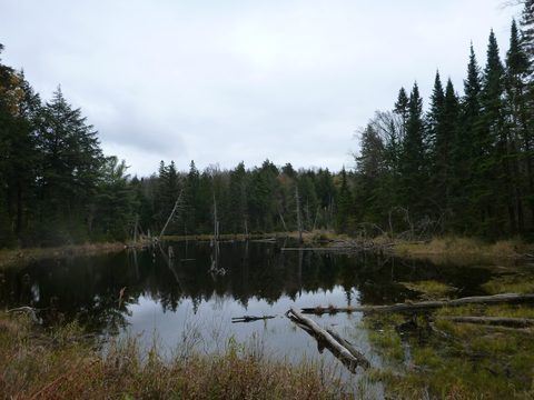 Photo from Thanksgiving Backpacking in Algonquin