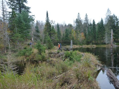 Photo from Thanksgiving Backpacking in Algonquin