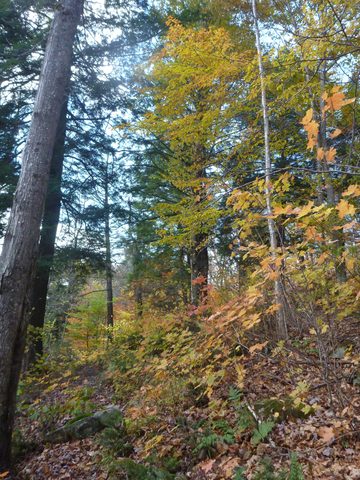 Photo from Thanksgiving Backpacking in Algonquin